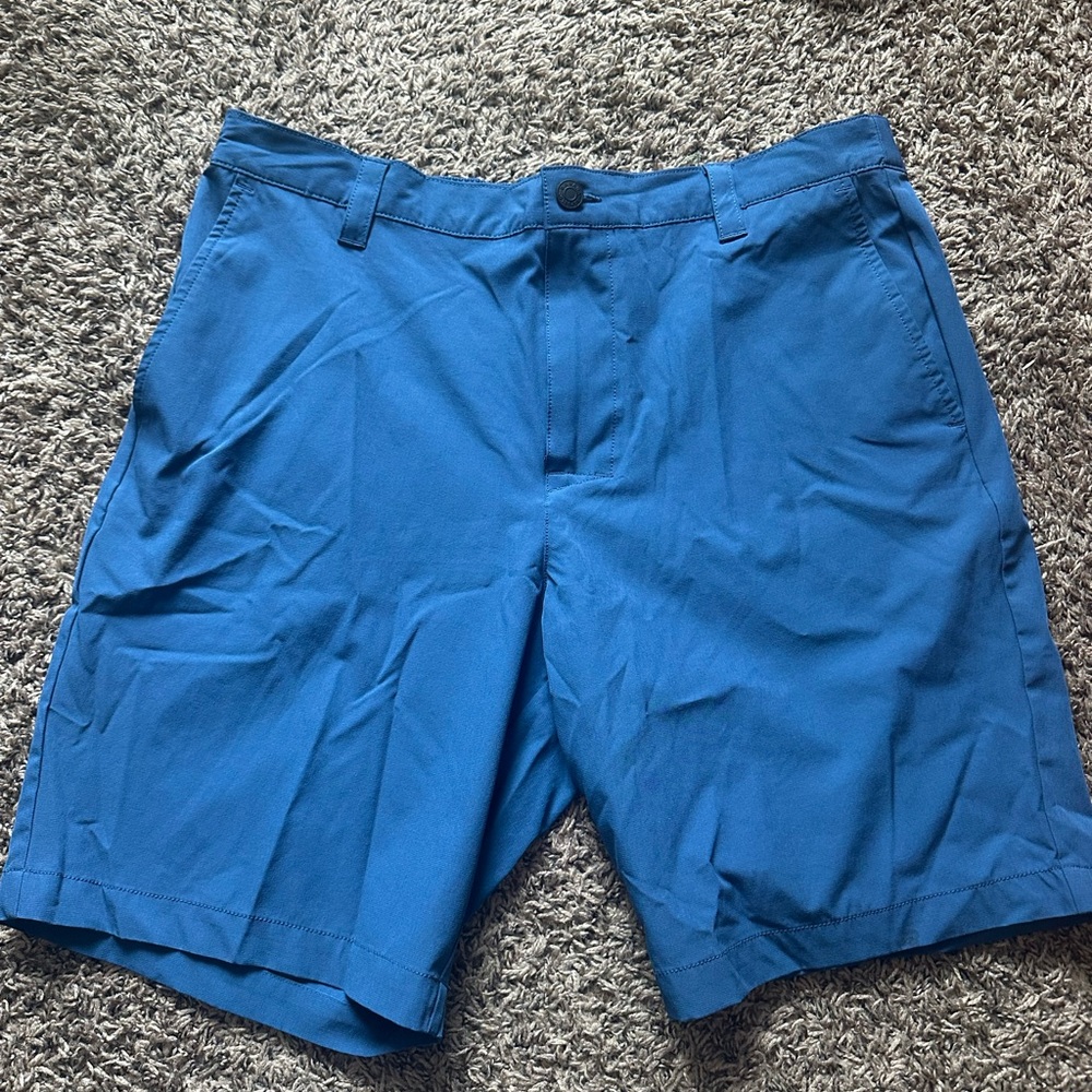 Banana Republic Blue Flat Front Shorts
